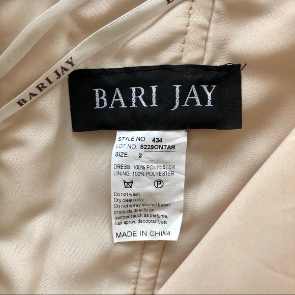 Bari Jay Bridesmaid Gown - Picture 8 of 10